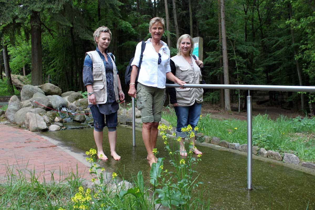 Der Barfußpark Lüneburger Heide erlaubt barfuß den naturkontakt