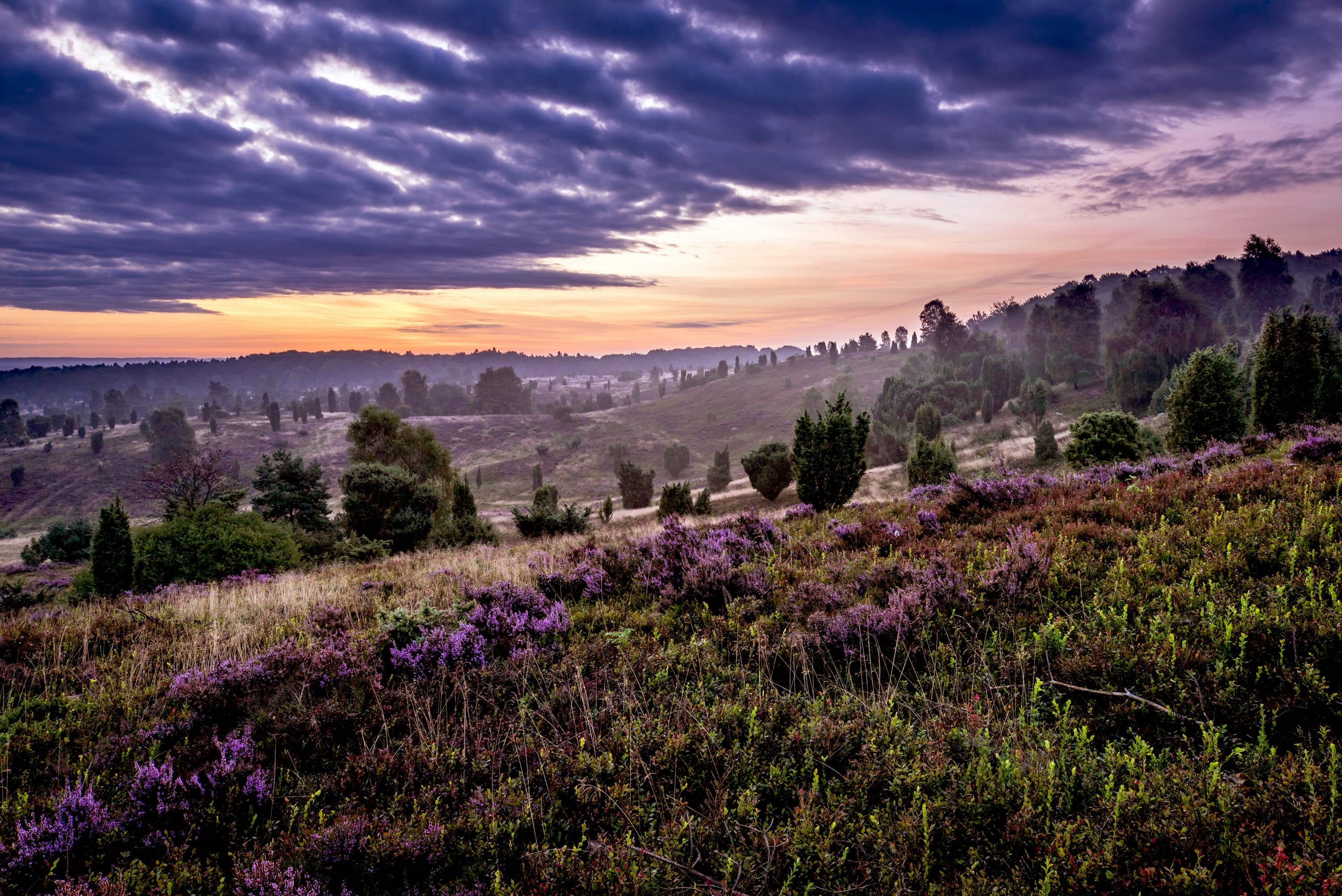 Presse Bilder Archiv Lüneburger Heide Wilseder Berg Sonnenuntergang Wolken