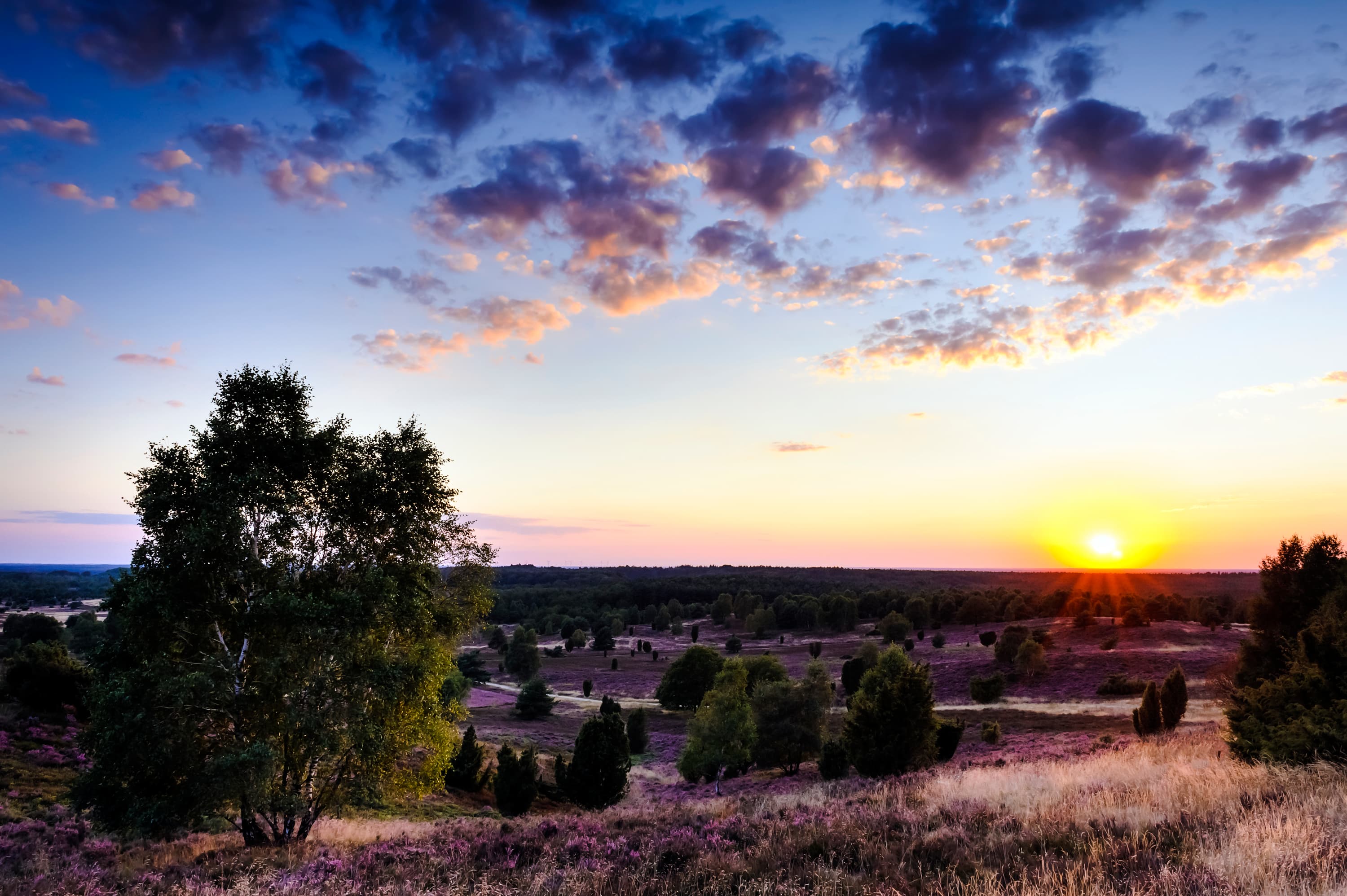Wilseder Berg Sonnenuntergang Presse Bilder Lüneburger Heide
