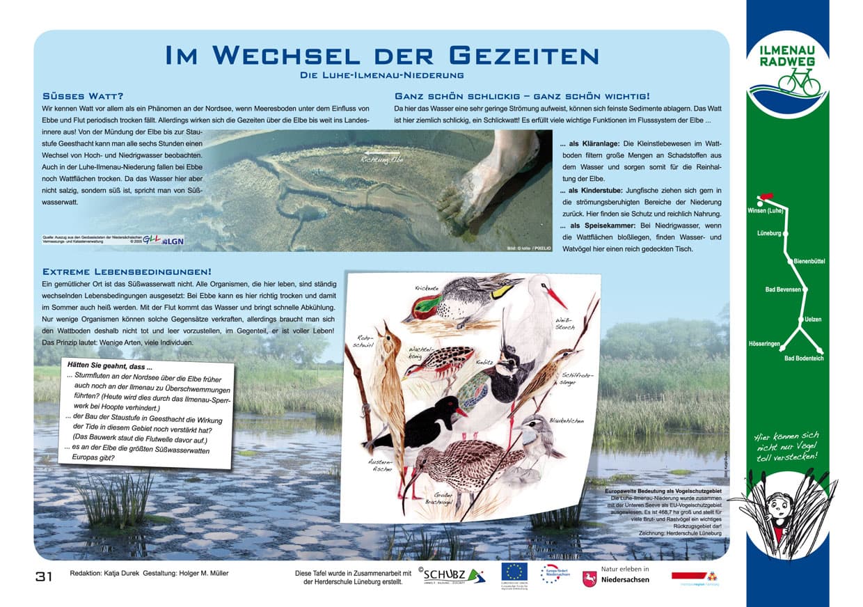 DIE LUHE-ILMENAU-NIEDERUNG