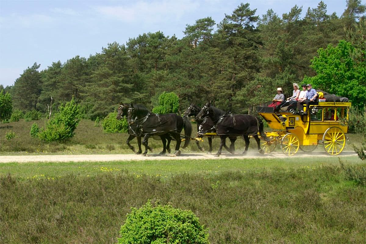 Alte Postkutsche für 10 Pers. aus Eschede im Naturpark Südheide.