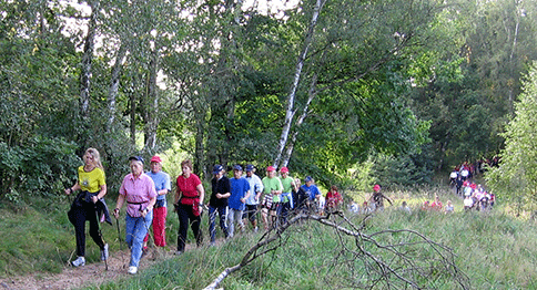 Nordic Walking ist für ambitionierte Sportler ebenso geeignet wie für untrainierte Menschen.