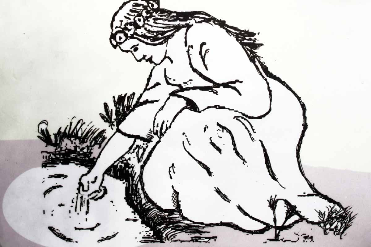 lüneburger kaufleute schworen auf das wunder von undeloh