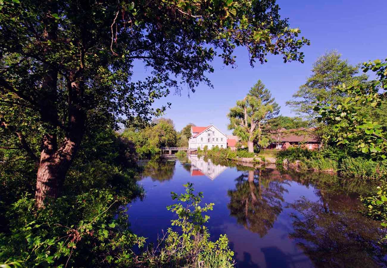 Heideort Oldenstadt bei Uelzen an der Ilmenau und entlang des Ilmenau-Radweges in der Lüneburger Heide