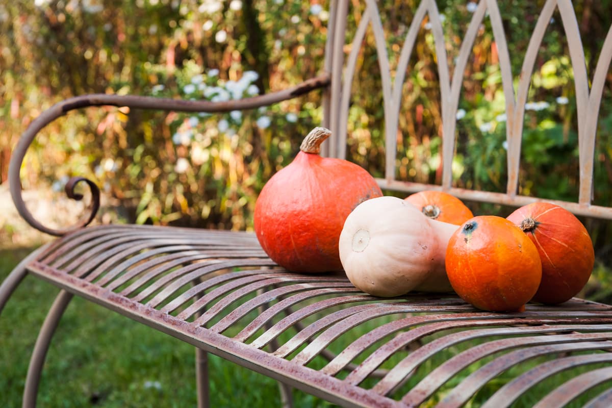 herbst-in-der-luneburger-heide