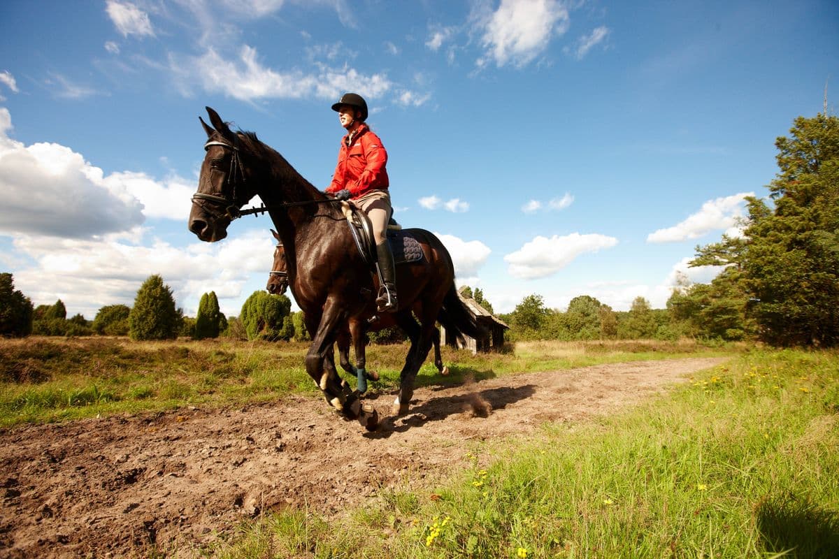 galoppierende Reiterin