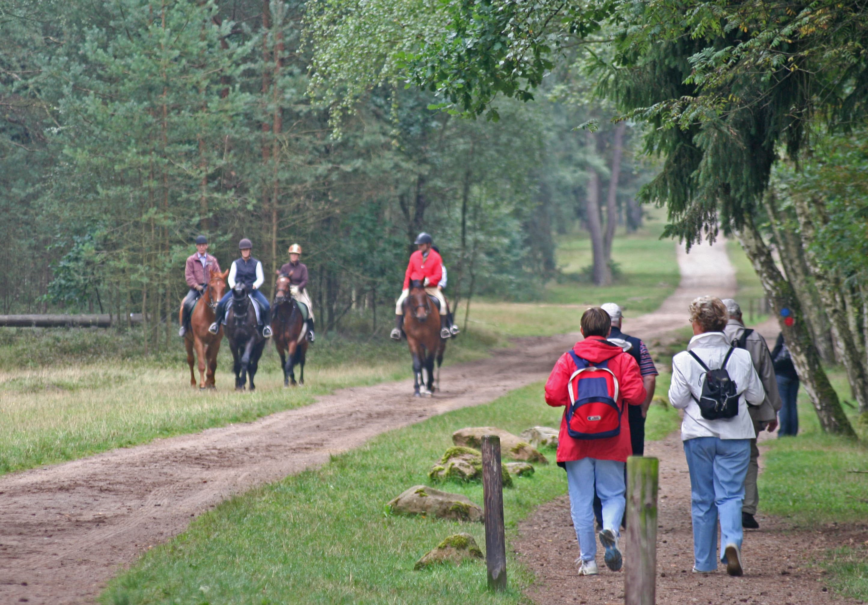 Reiten in der Misselhorner Heide