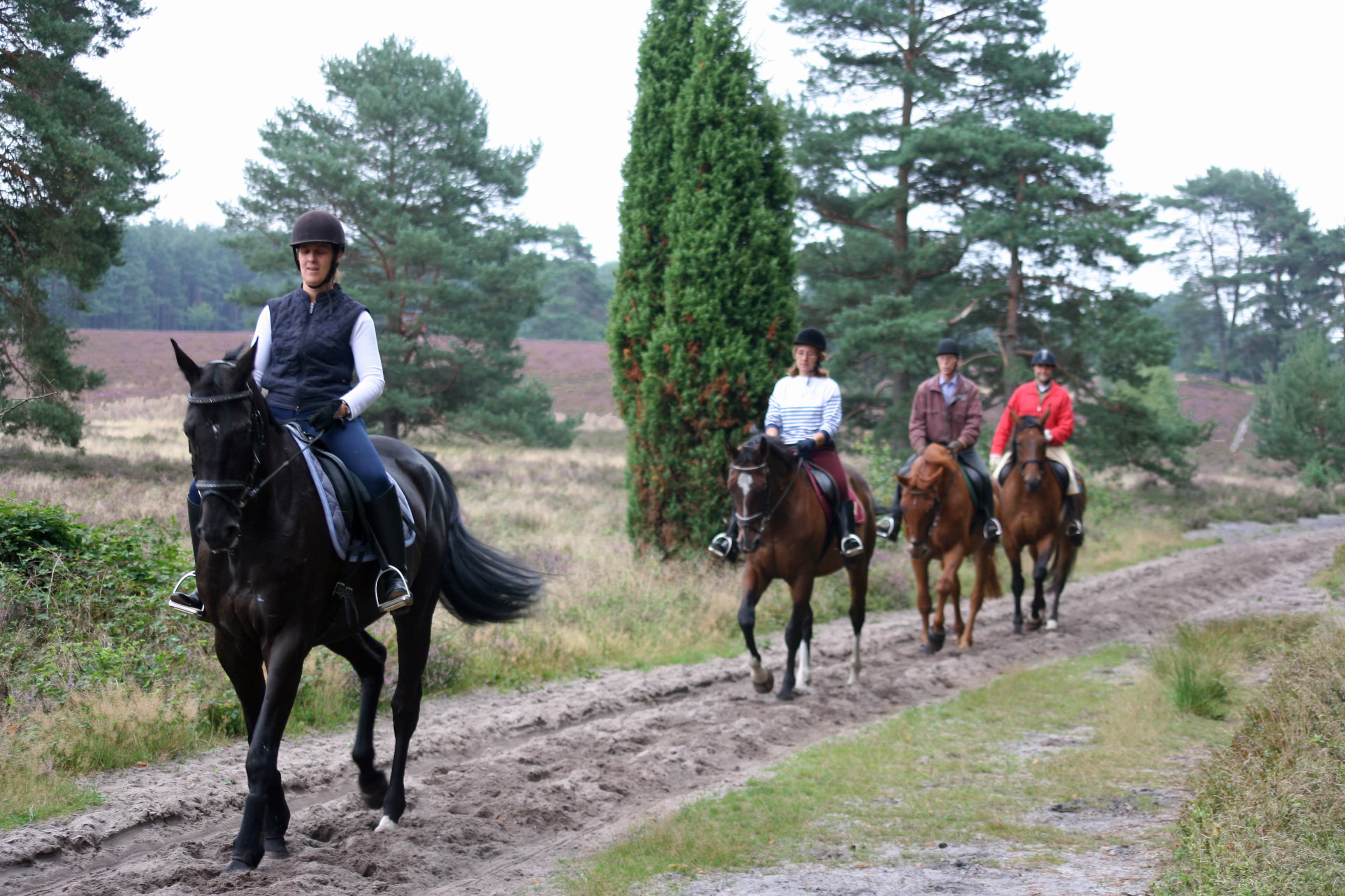 Reiten Naturpark Südheide