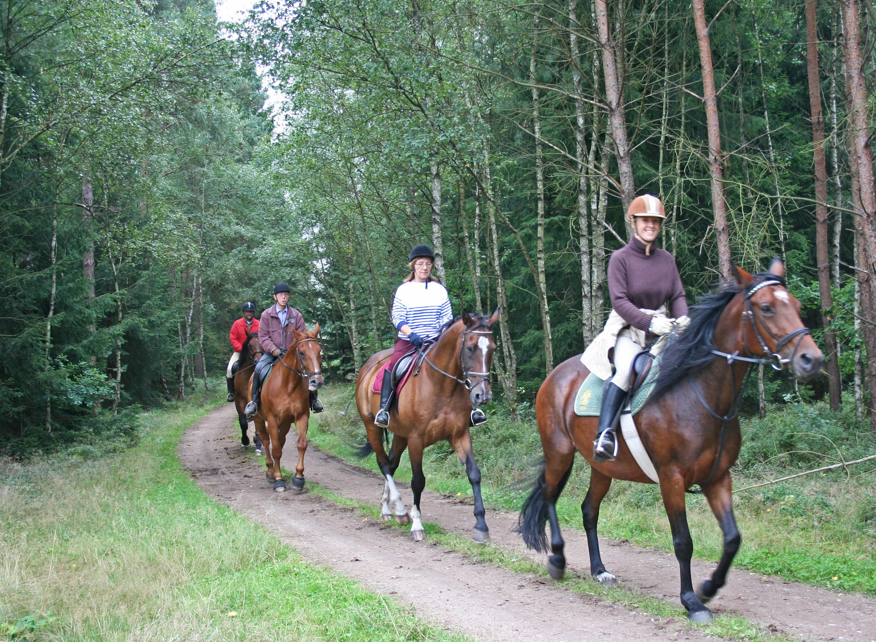 vier Reiter im Naturpark Südheide