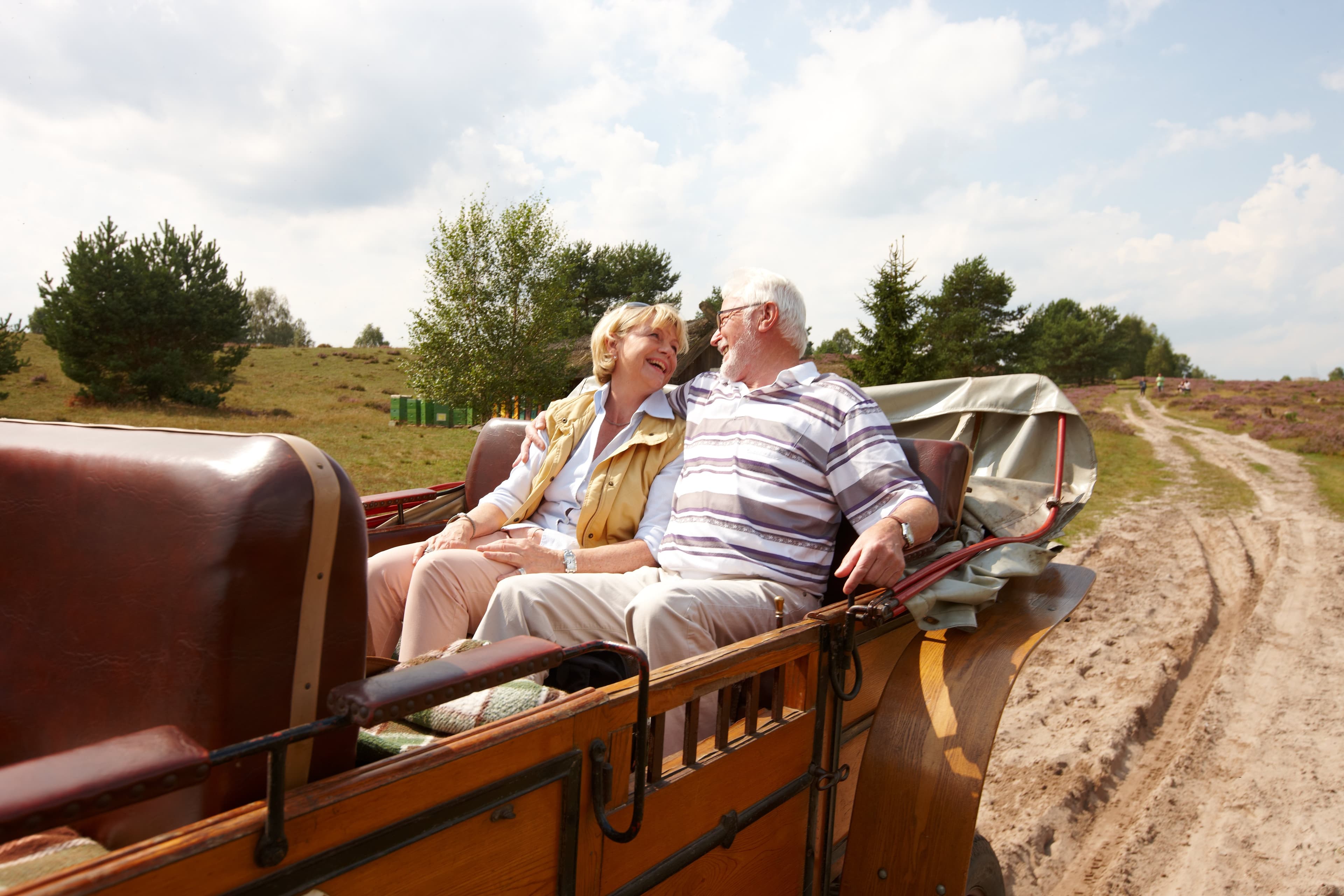 kutsche lueneburger heide