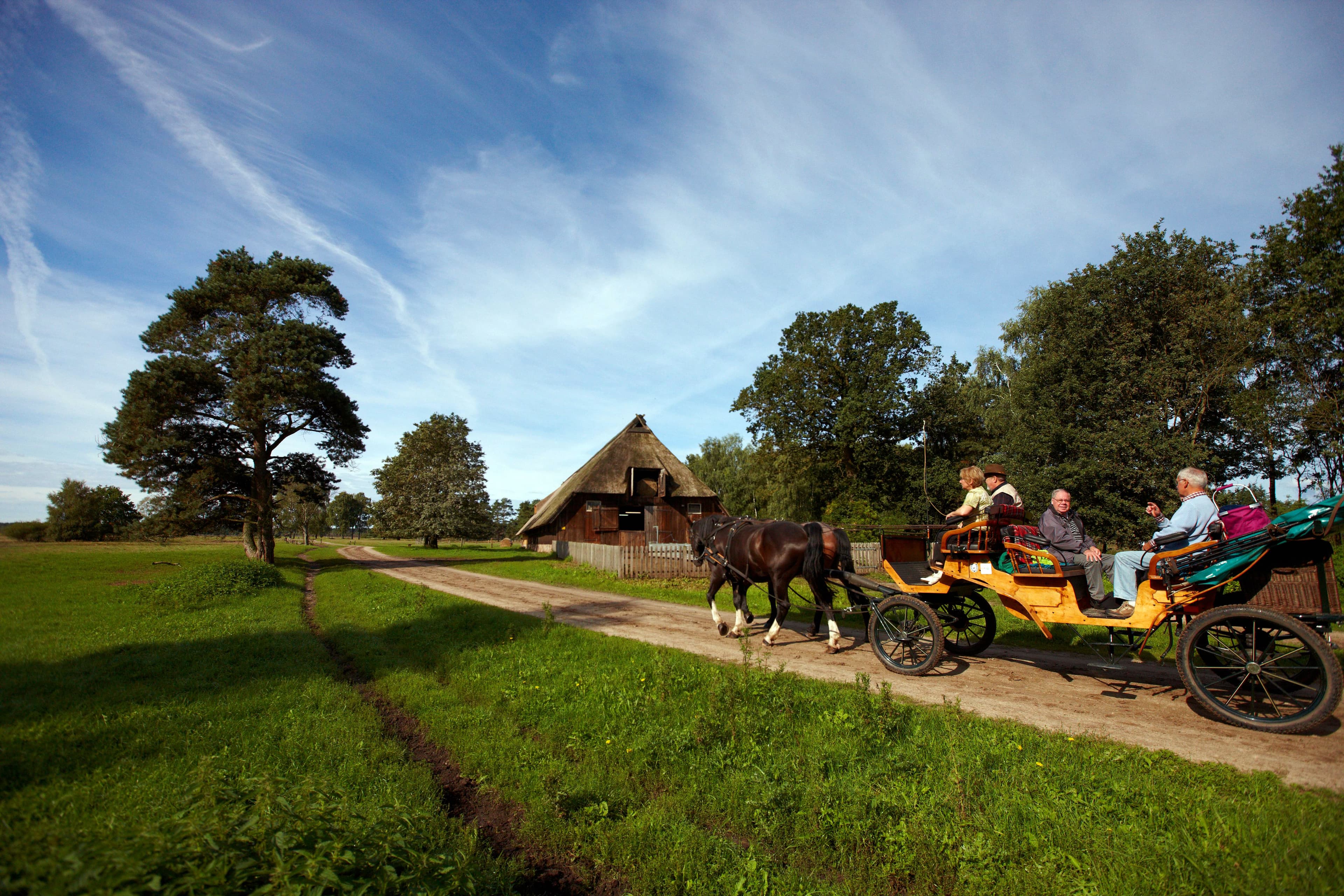Kutsche Lüneburger Heide