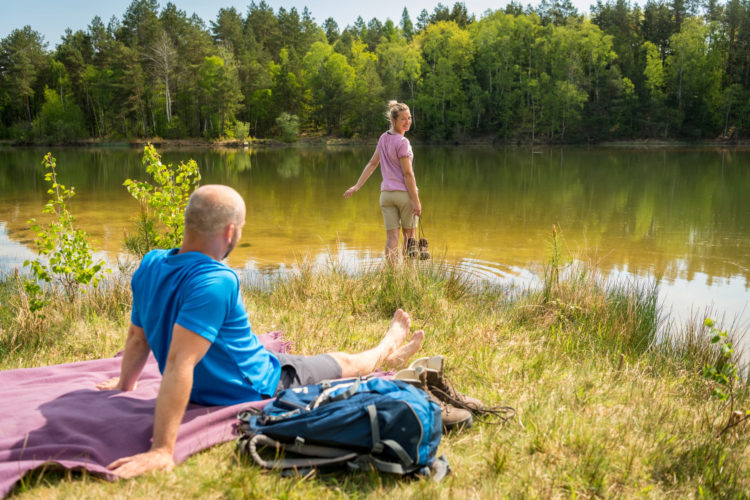 In der Oberoher Heide bei Müden (Örtze)