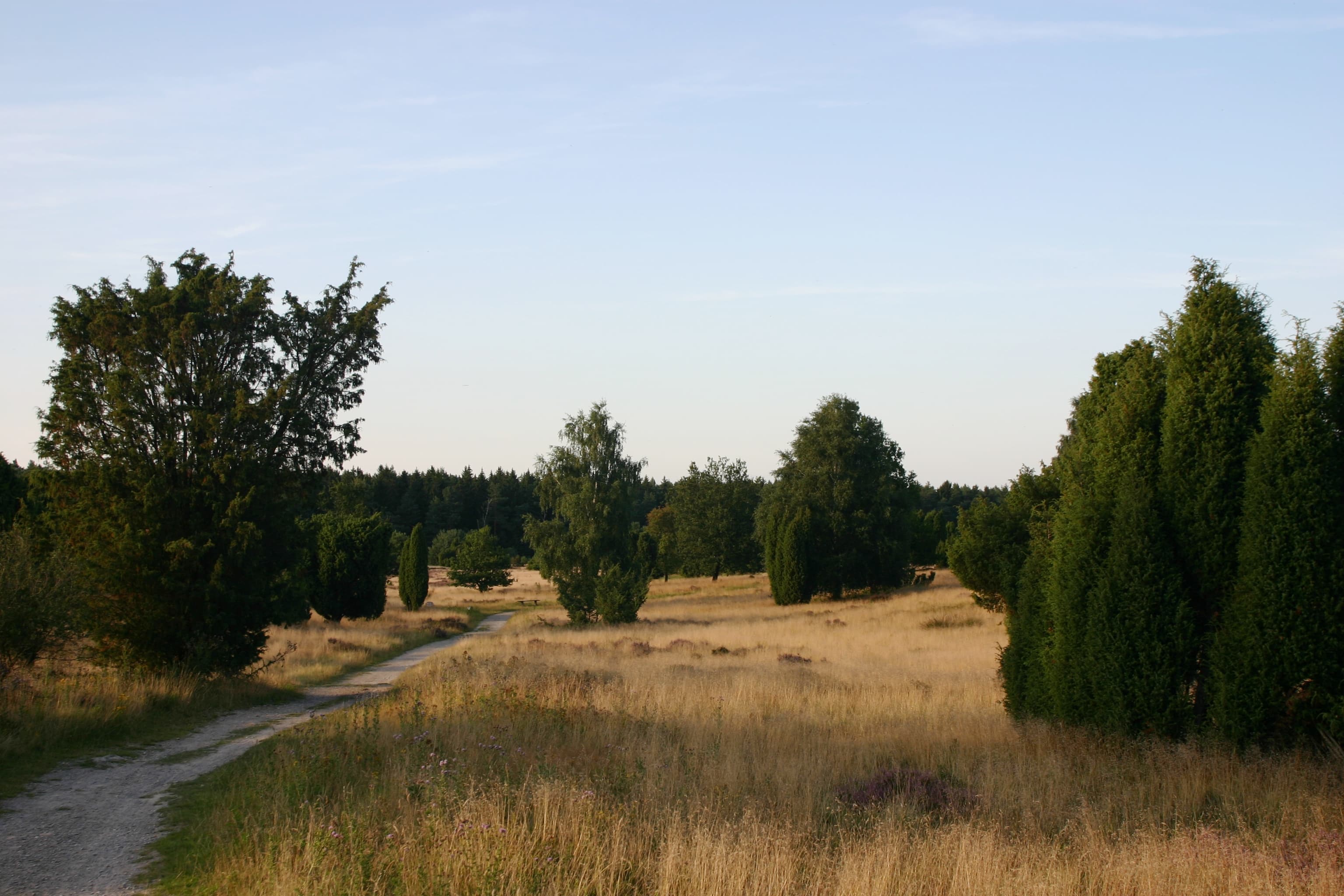 Der Weg zum Wilseder Berg