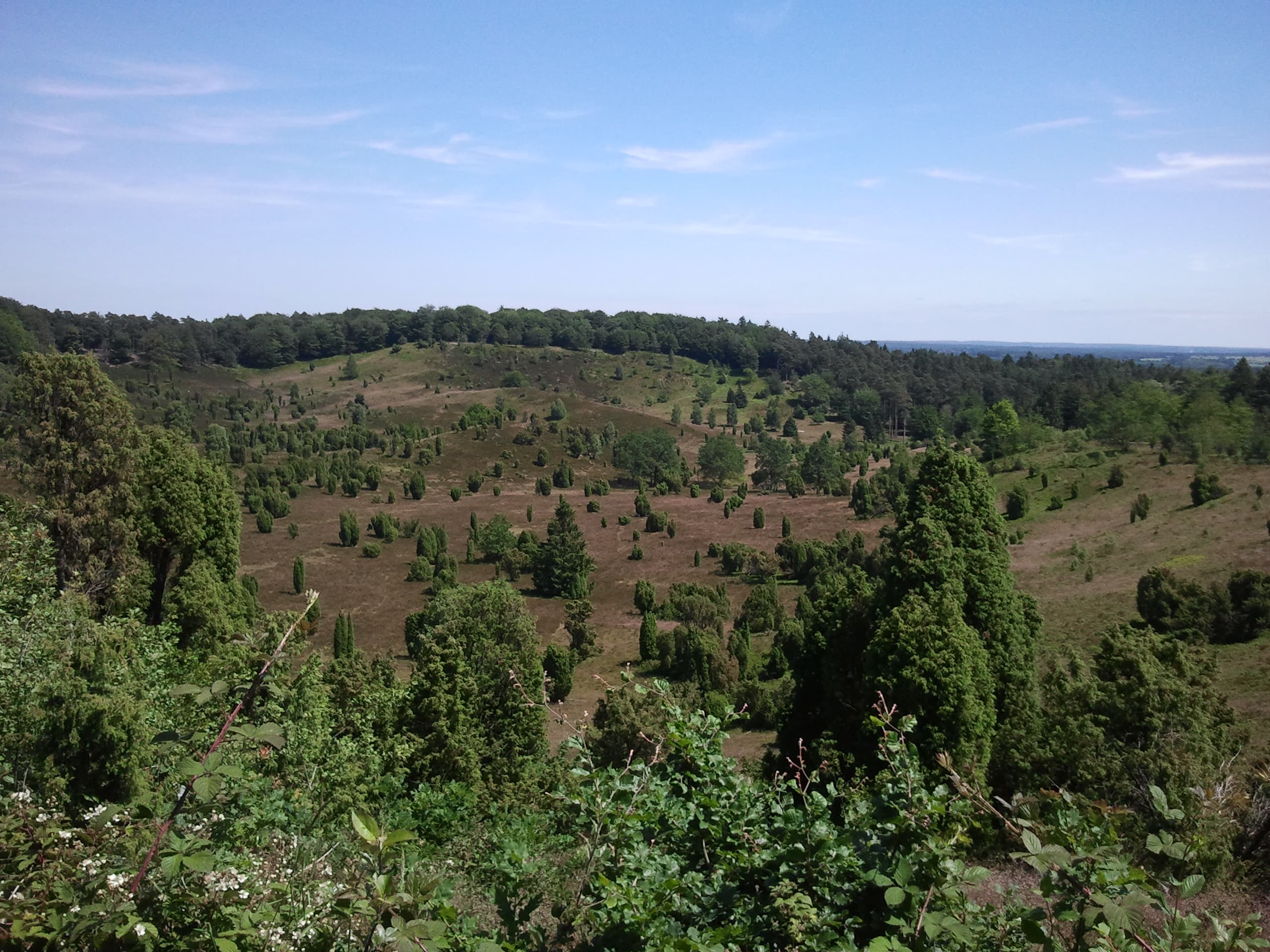 Frühlingswandern von Niederhaverbeck nach Wilsede Totengrund von oben