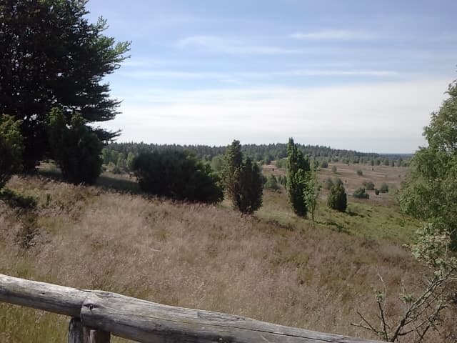 Frühlingswandern von Niederhaverbeck nach Wilsede Totengrundsicht