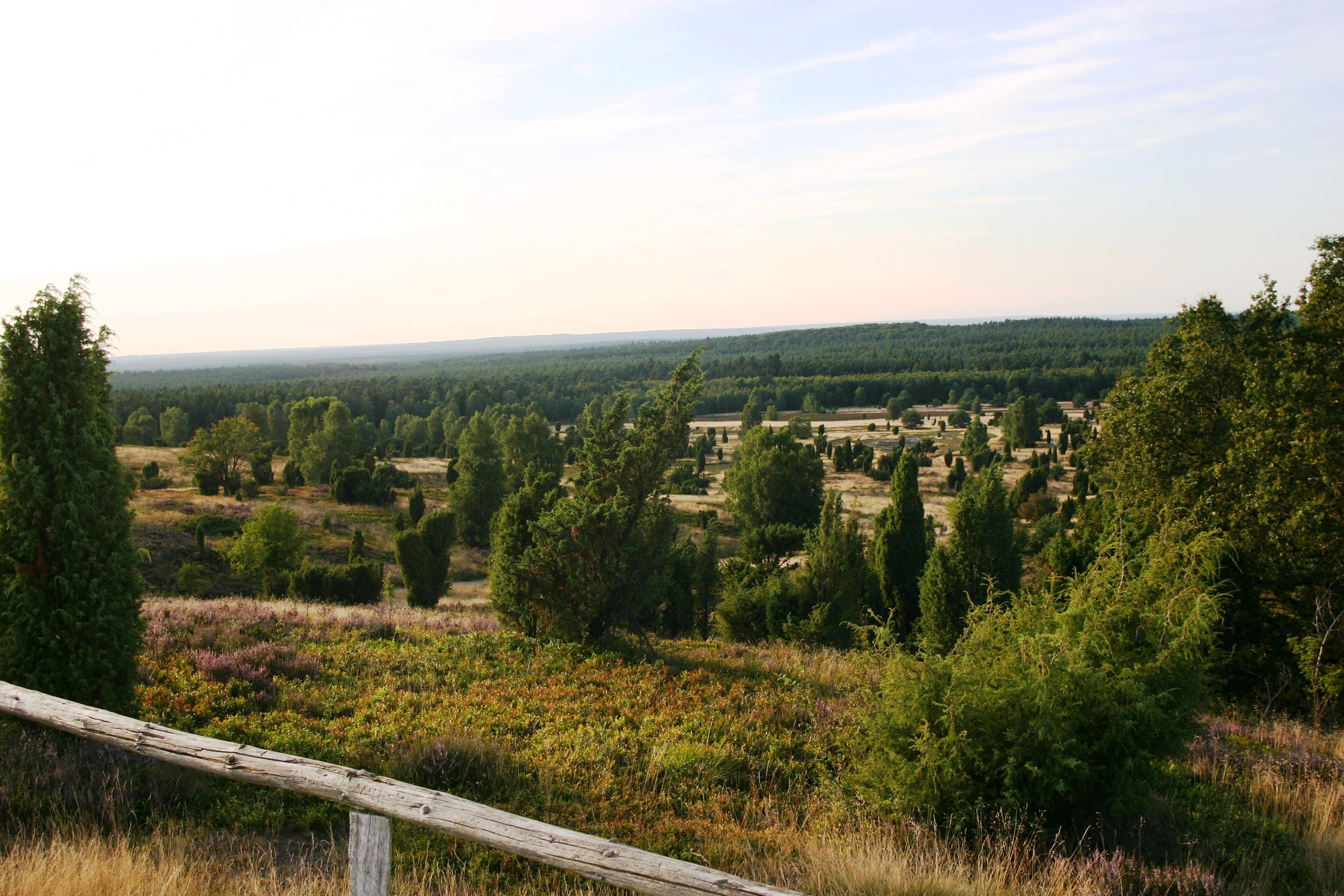 gästeführung zum wilseder berg