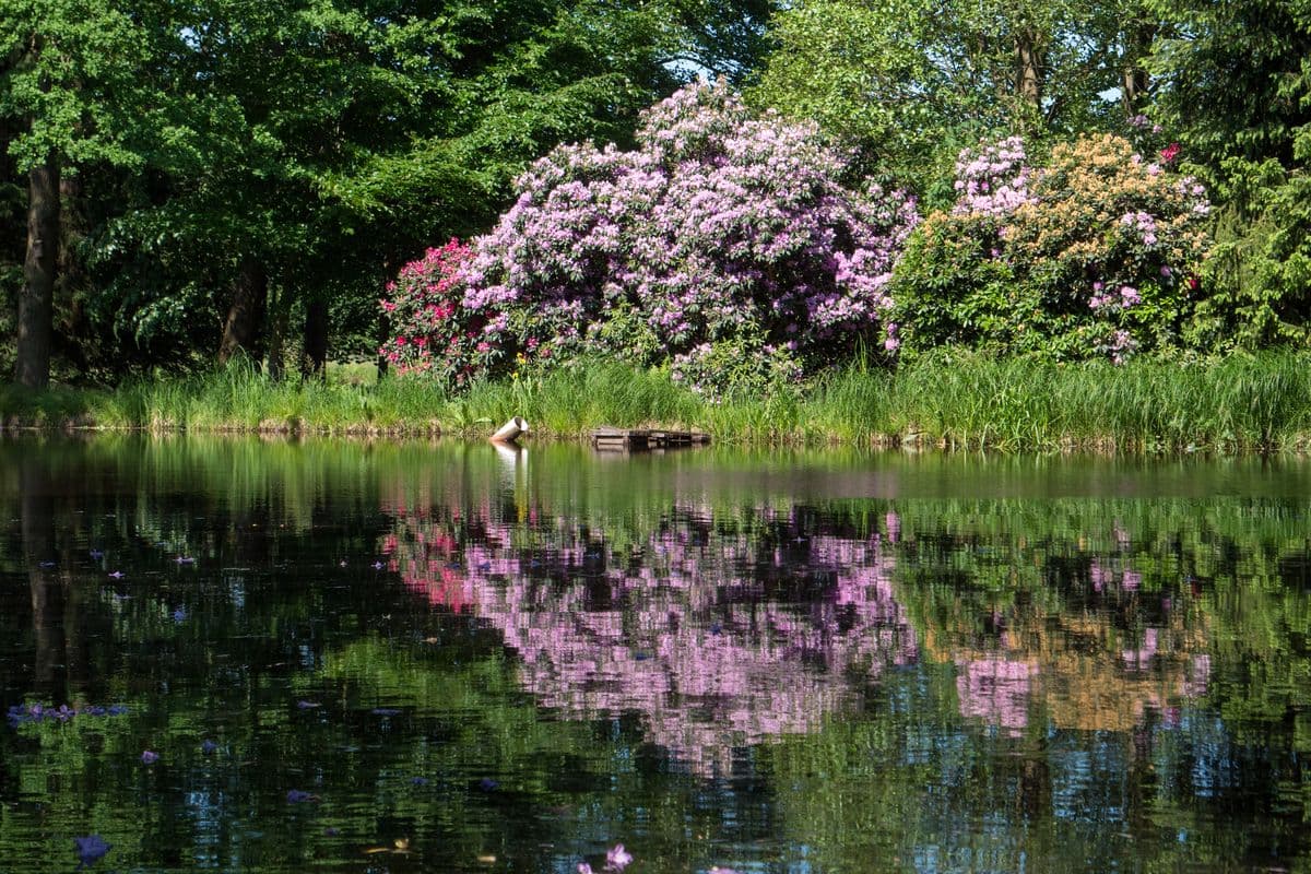 herrliche wanderwege an den Aschauteiche bei Eschede