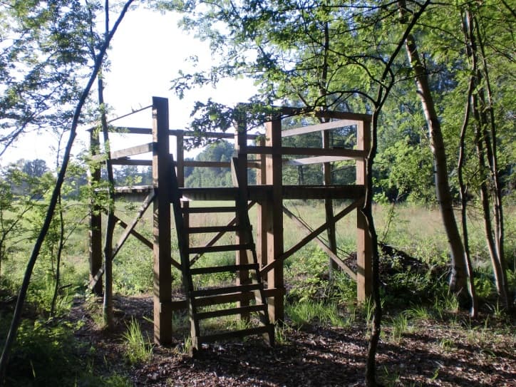 Aussichtsturm bei Sülze Bergen
