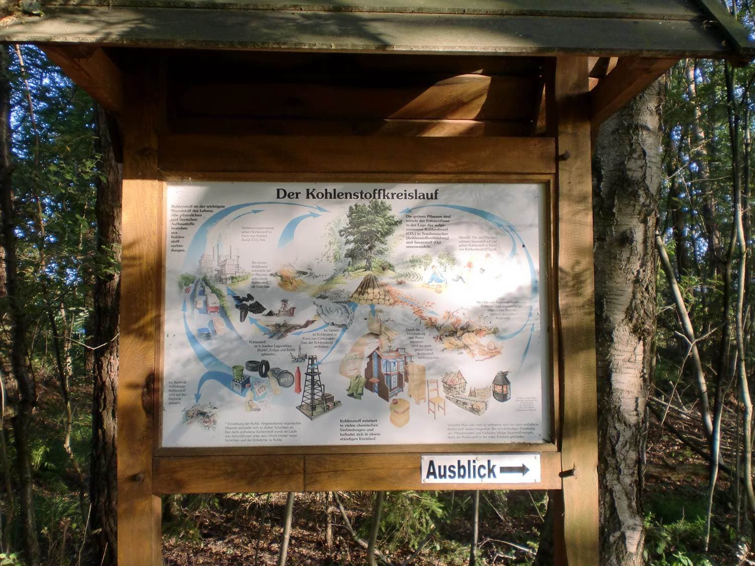 Informationstafel am Naturlehrpfad Bergen Sülze