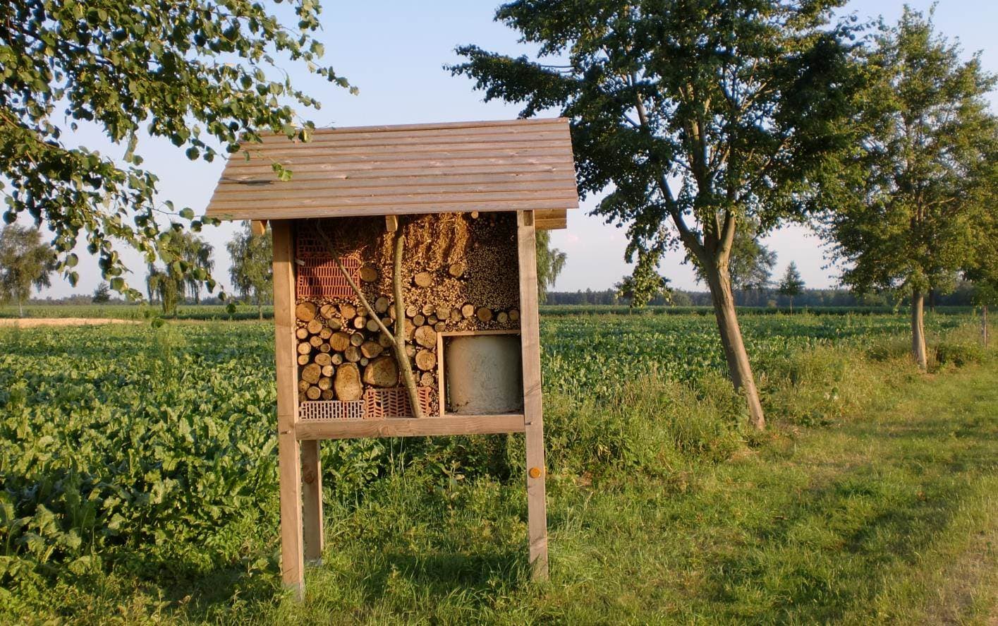 Insektenhotel Bergen
