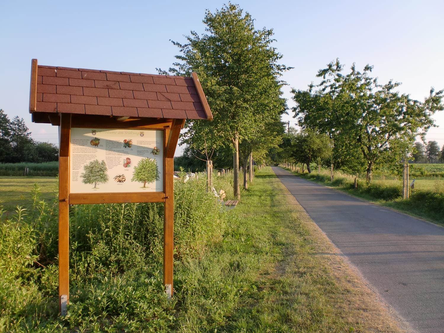 Obstbäume nahe Lehrpfad Bergen