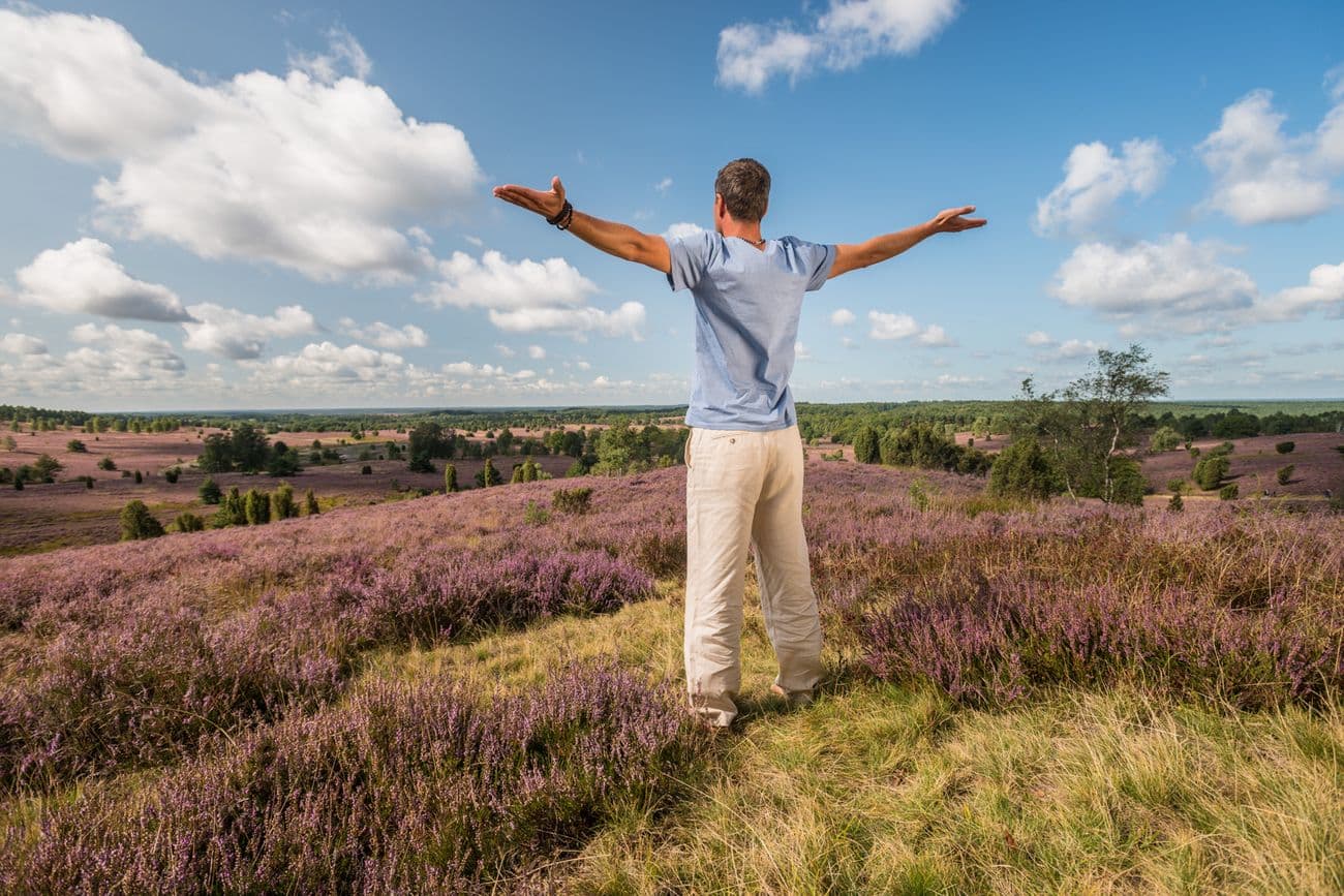 Lüneburger Heide Vital