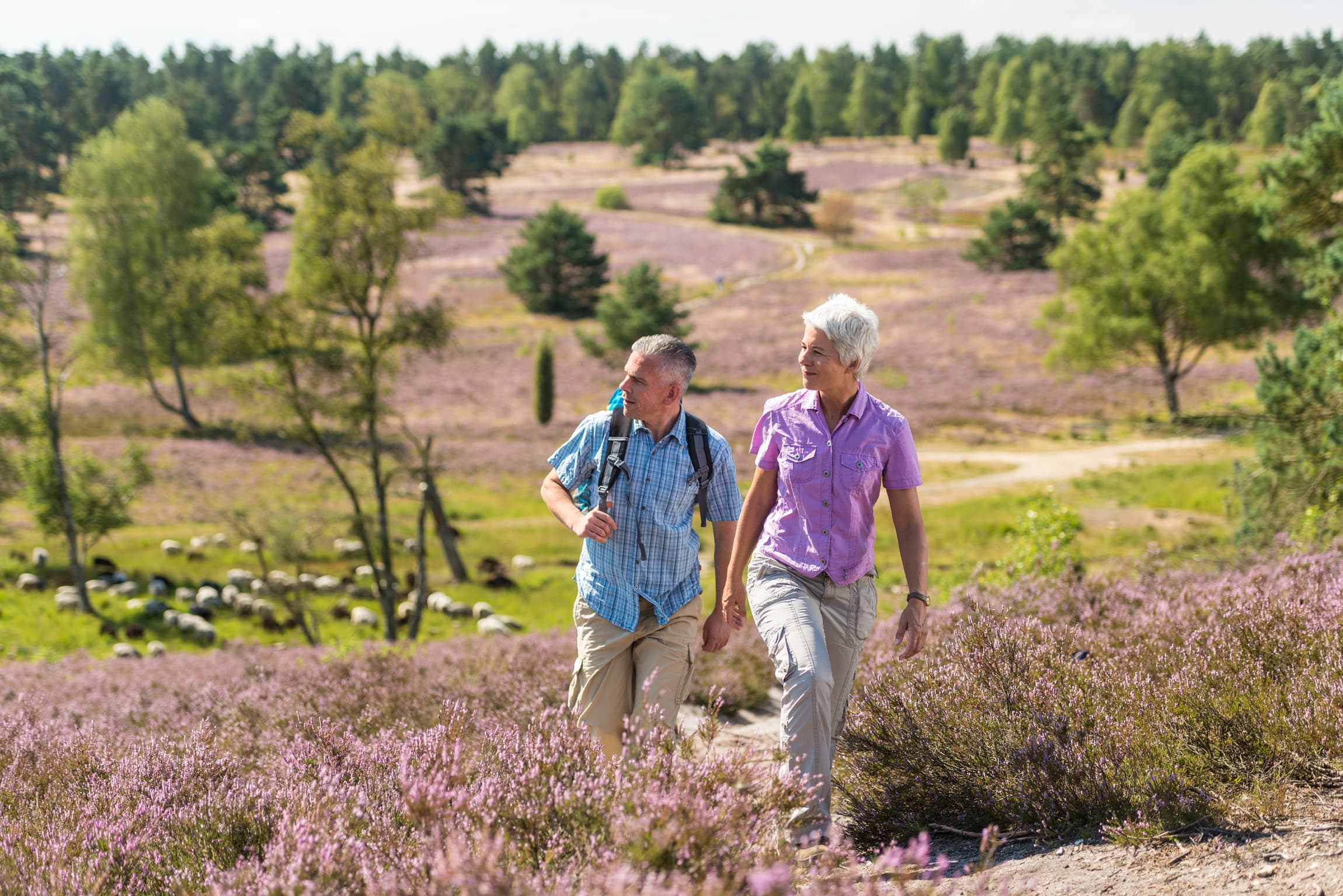 Aufstieg zum Pferdekopf Büsenbachtal Handeloh