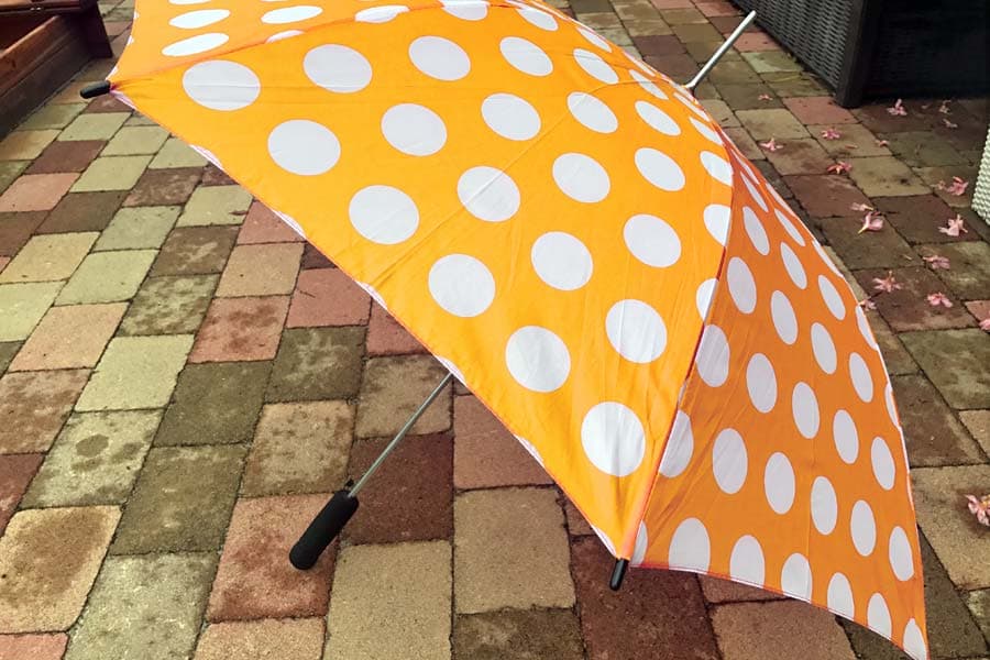 Ausflugsziele bei Regen Lüneburger Heide