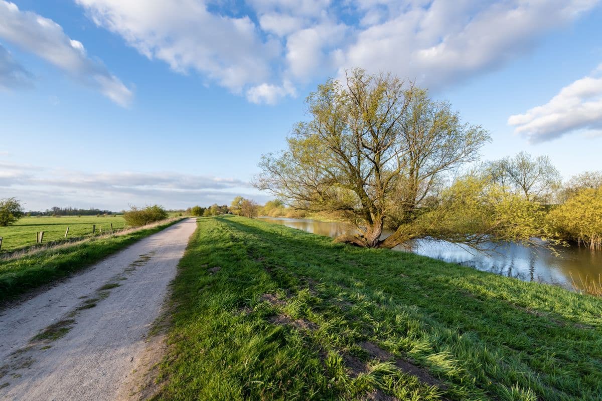 Seeve Radweg direkt an der Schachblumenblüte in der Lüneburger Heide