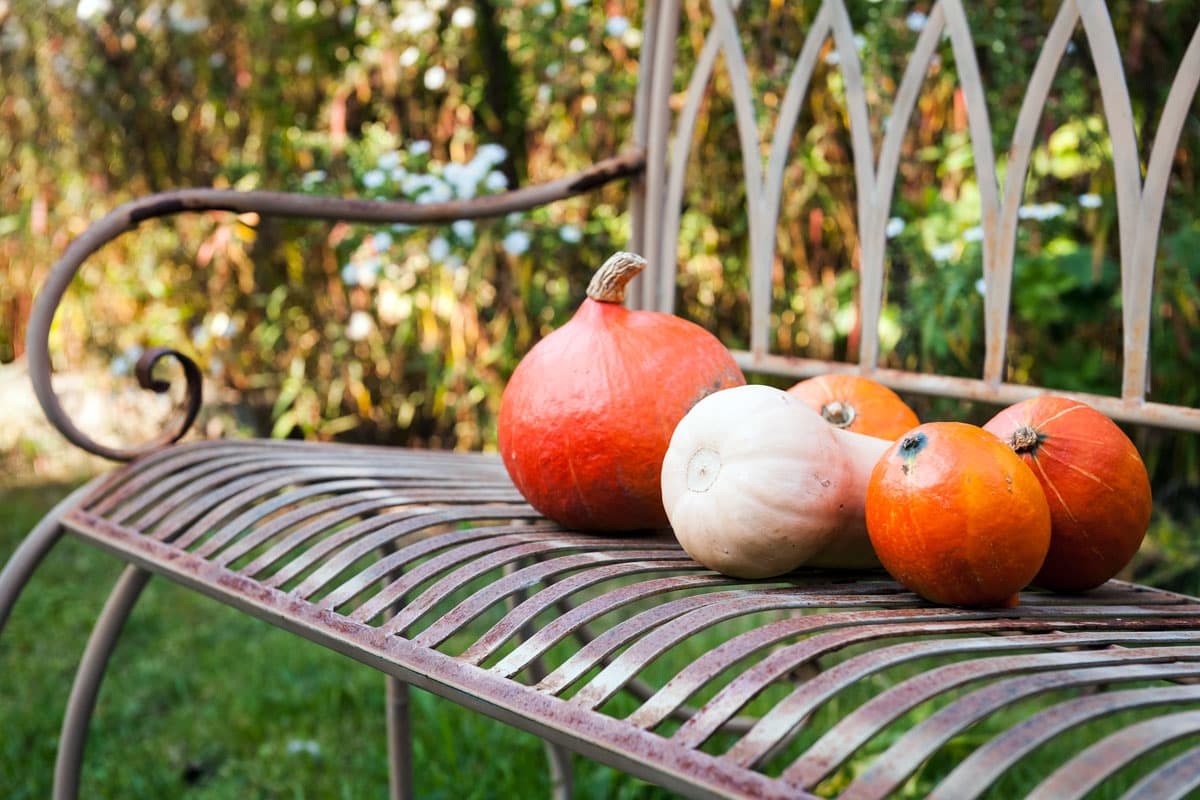 Zum Wandern im Herbst in die Lueneburger Heide