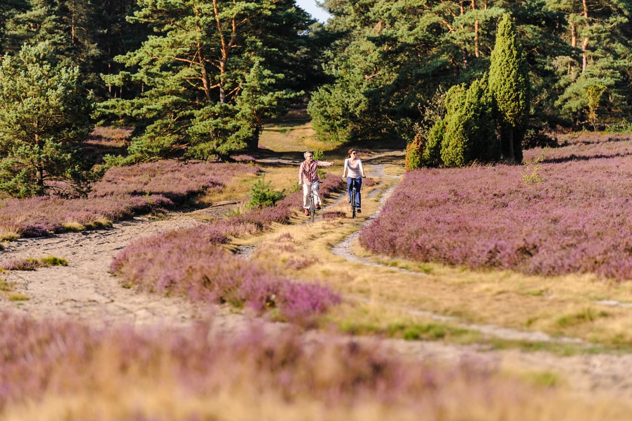 radfahren lüneburger heide