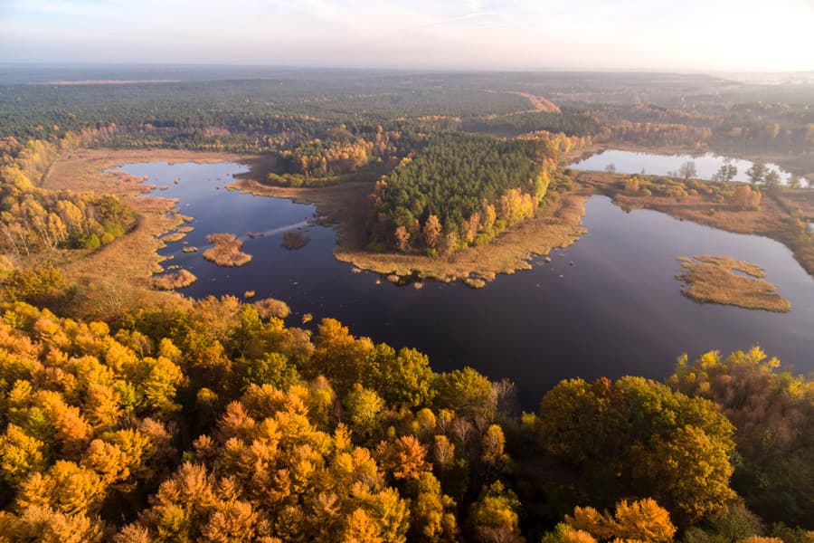 Wildecker Teiche in der Südheide im Herbst in der Lüneburger Heide