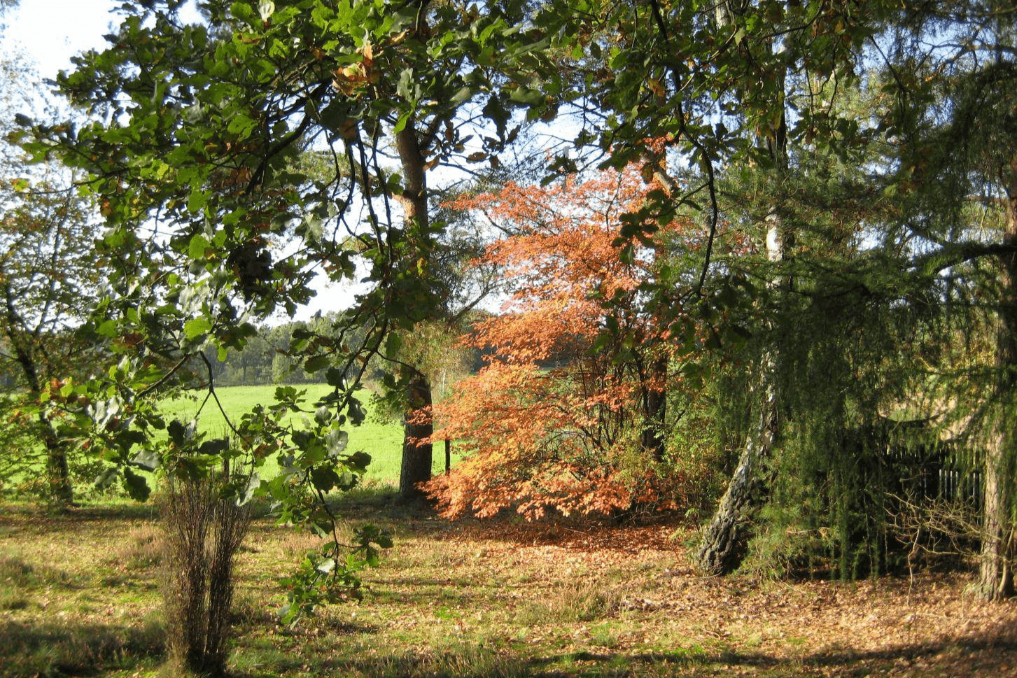 Friedhof in Hassel bei Bergen