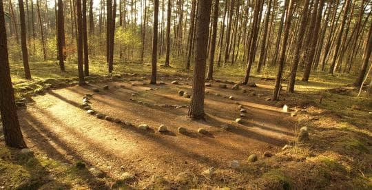 Reatreat Hütte wald