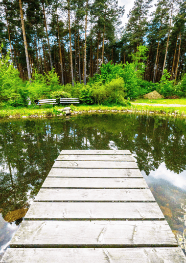 Caduceus Zentrum steg