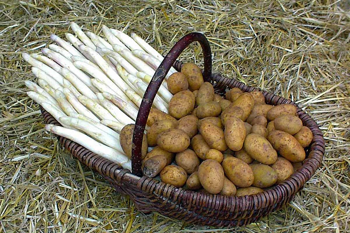 Spargel aus der Lüneburger Heide