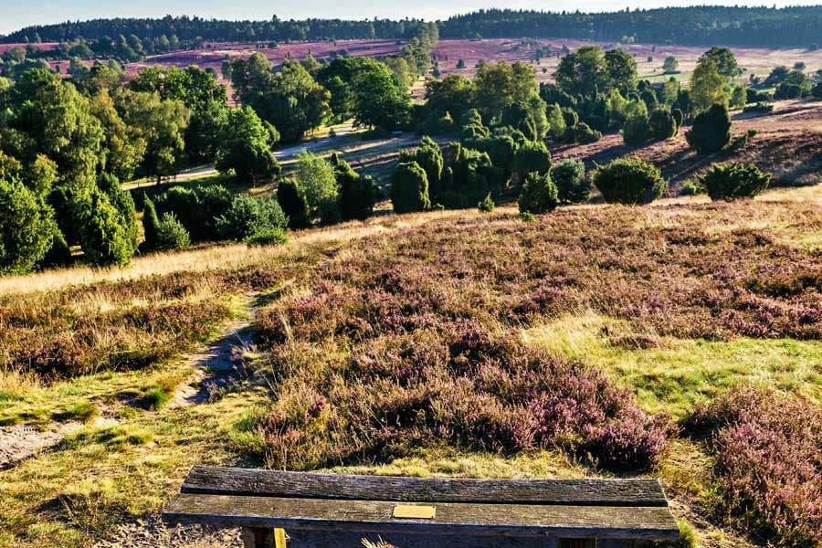 Turmberg bei Bispingen mit Blick in die Lüneburger Heide