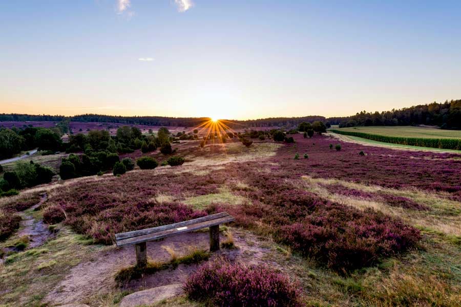 In Oberhaverbeck, einem Stadtteil von Bispingen, liegt der Turmberg