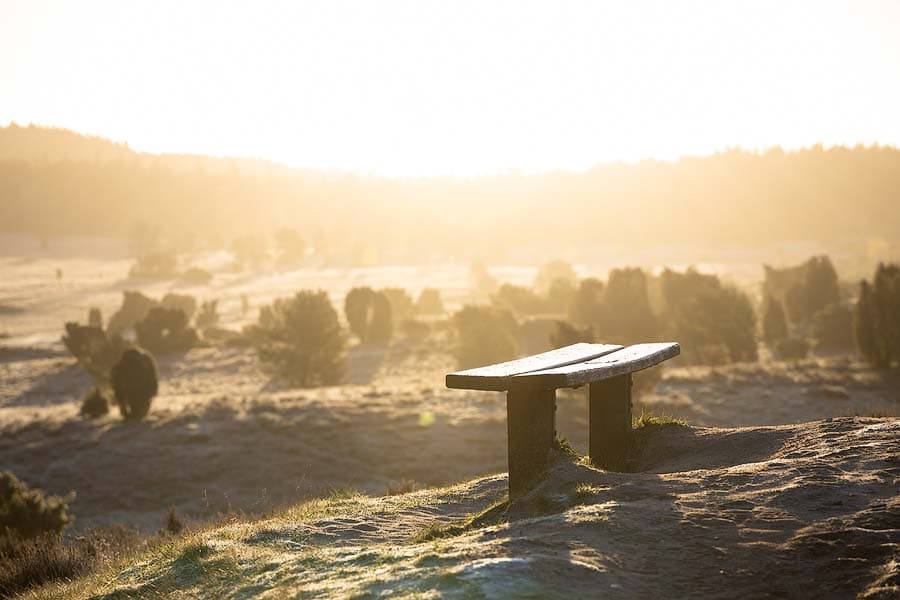 Bank auf dem Turmberg mit Panorama Blick auf das Naturschutzgebiet bei Oberhaverbeck und Wilsede
