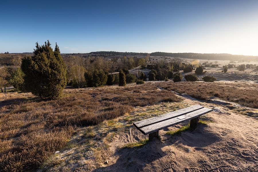 Sonnenaufgang von dem Aussichtspunkt Turmberg im Naturschutzgebiet der Lüneburger Heide