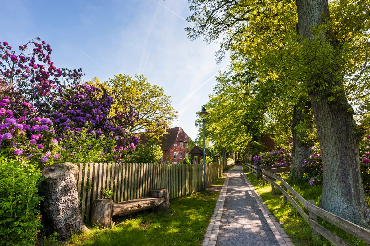 Heidschnuckenweg in der Lüneburger Heide wandern