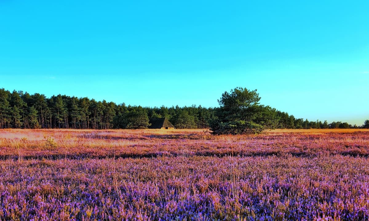 mein perfekter Tag Hanstedt