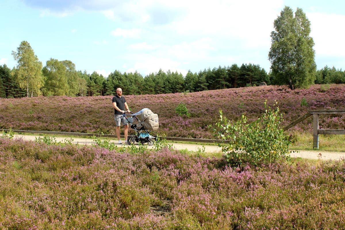 Unterwegs in der Lüneburger Heide beim wandern mit Kinderwagen
