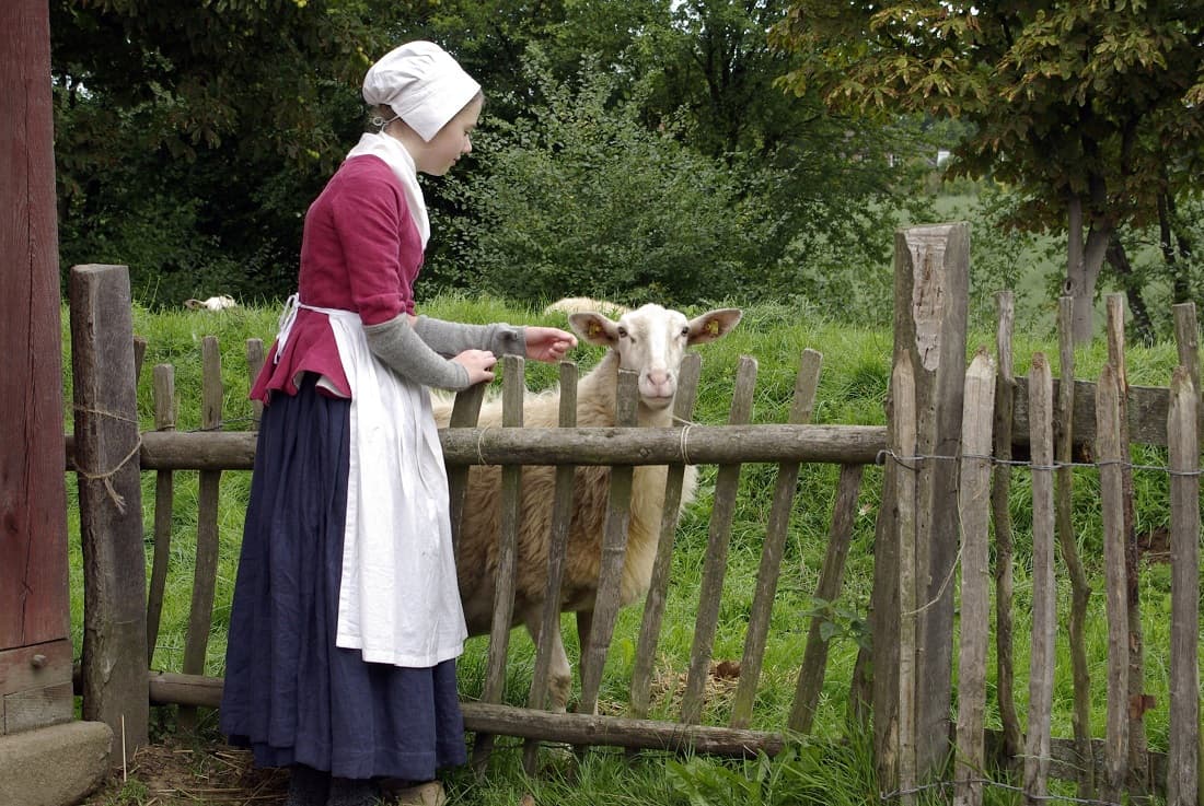 Bentheimer Landschaf Gelebte Geschichte - Foto FLMK