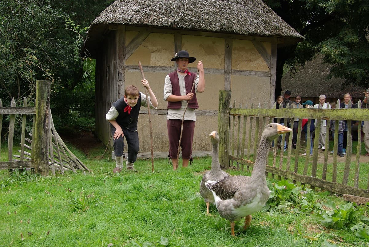 Pommersche Gänse Gelebte Geschichte - Foto FLMK