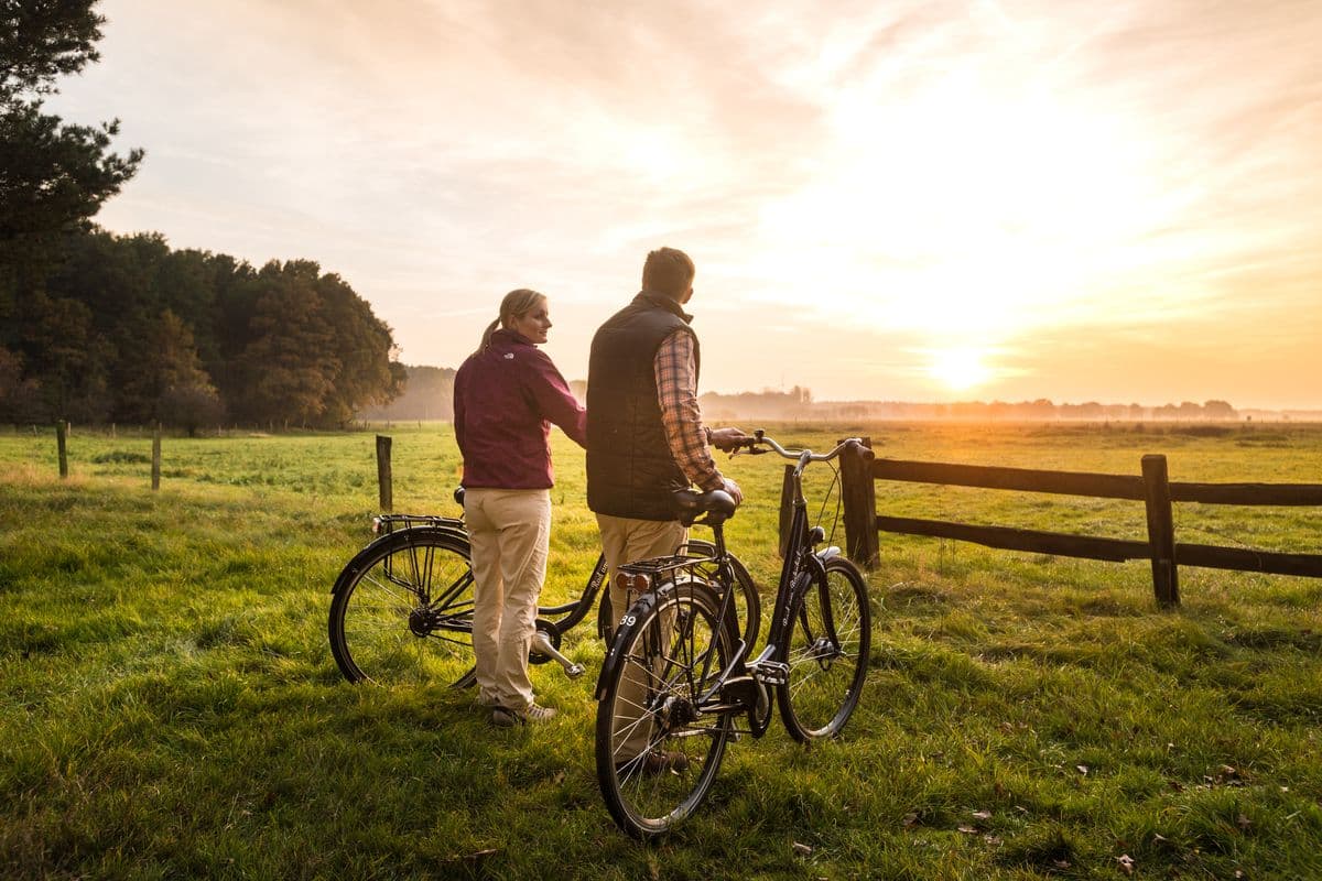 Sonnenuntergang an der Hornbosteler Hutweide am Aller-Radweg bei WietzeSunset at the Hornbosteler Hutweide on the Aller cycle path near WietzeSolnedgang ved Hornbosteler Hutweide på Aller-cykelstien nær WietzeZonsondergang bij de Hornbosteler Hutweide op het Aller fietspad bij Wietze