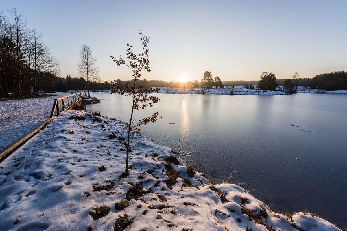 angelbecksteich in hermannsburg im naturpark südheide im winter mit schnee