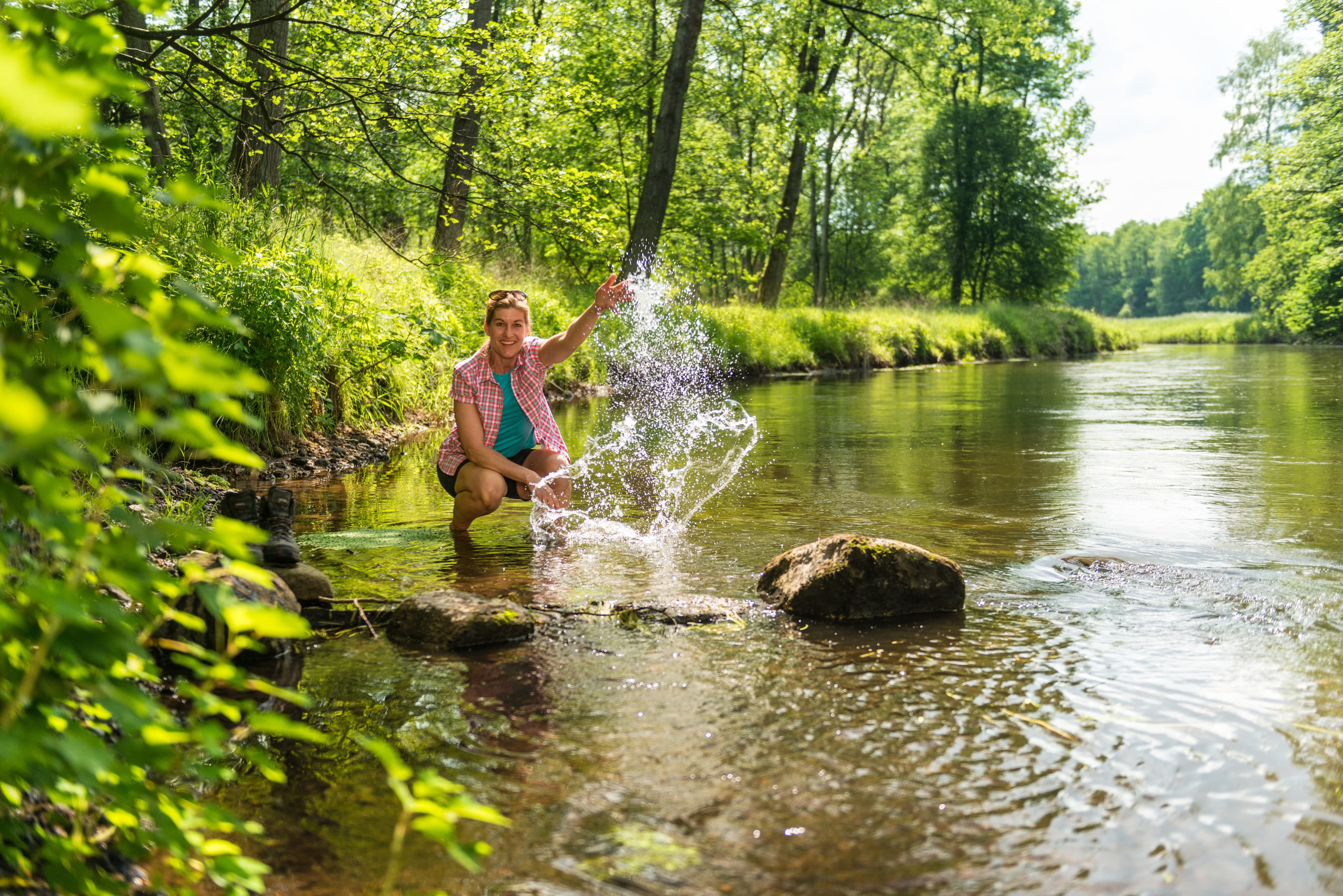 Sommerurlaub Lüneburger Heide