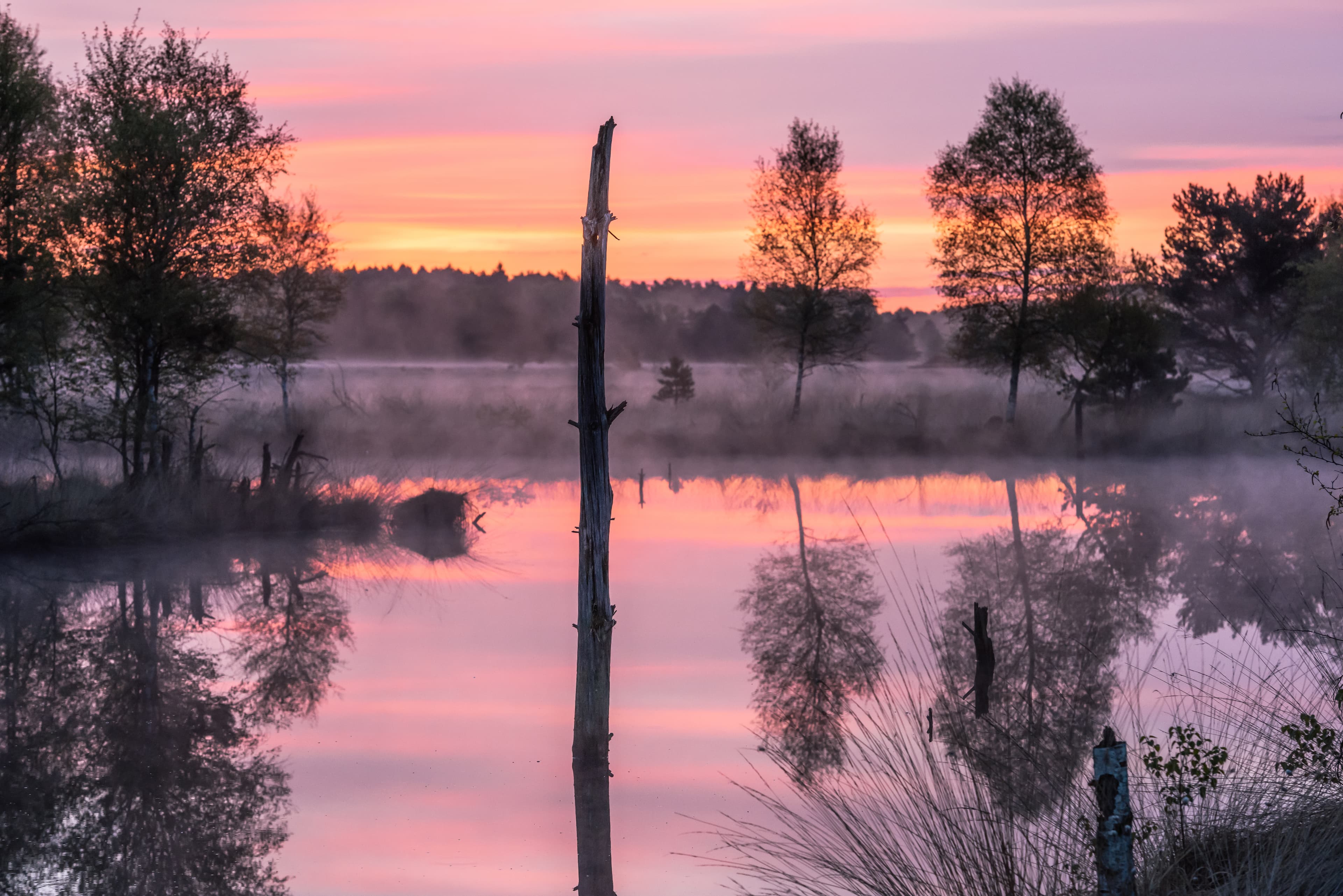 Foto Lüneburger Heide
