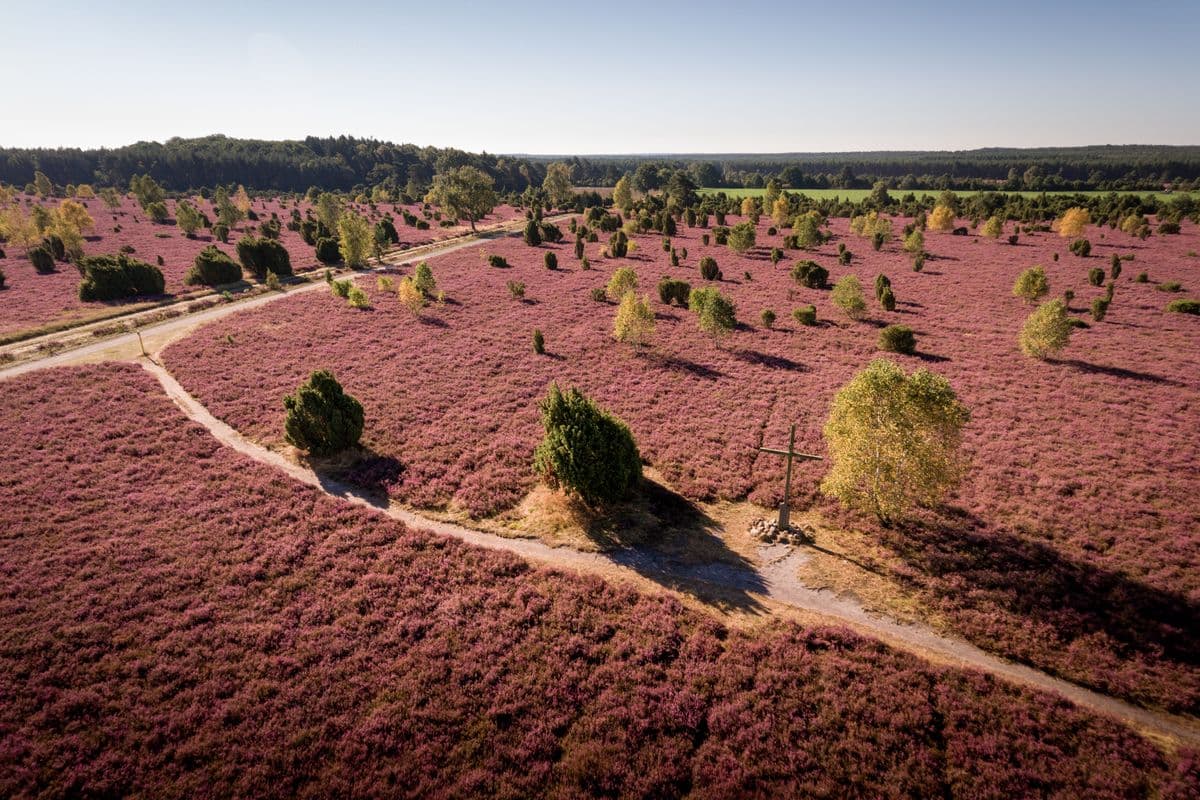 Luftbild des Wacholderwald Schmarbeck